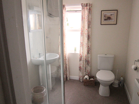 Manse ground floor ensuite shower from double bedroom