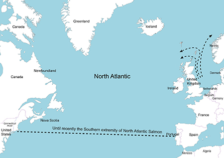 Salmon Migration Routes